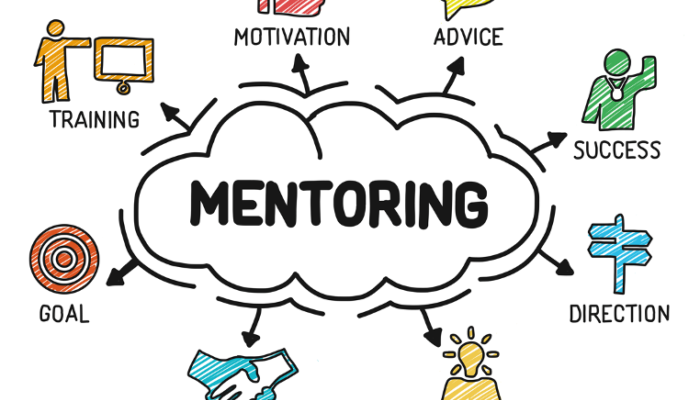 mentor-ecommerce